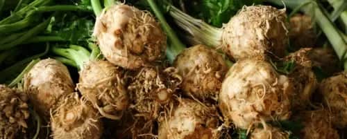 Czy pies może jeść pietruszkę i seler? Bezpieczne opcje dla zdrowia psa