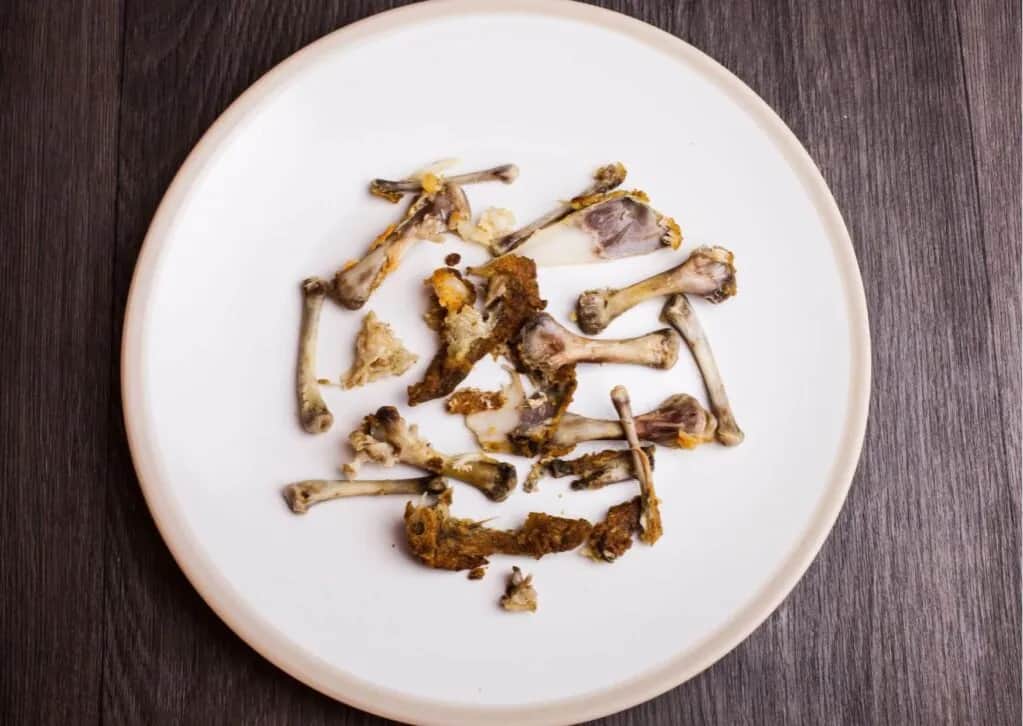 Kości dla psa surowe czy gotowane - które są bezpieczniejsze dla zdrowia?