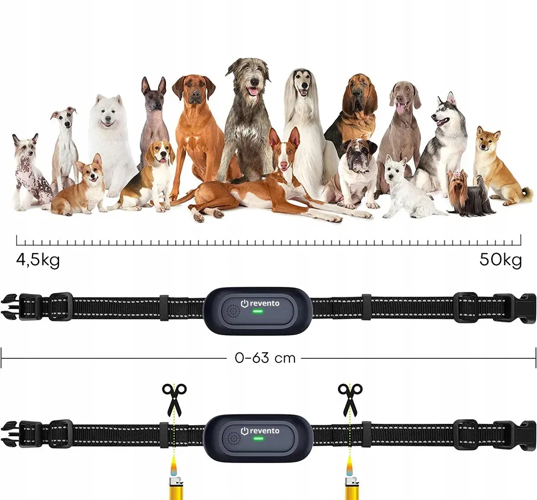 Jak tresować psa z obrożą elektryczną: skuteczne metody i bezpieczeństwo