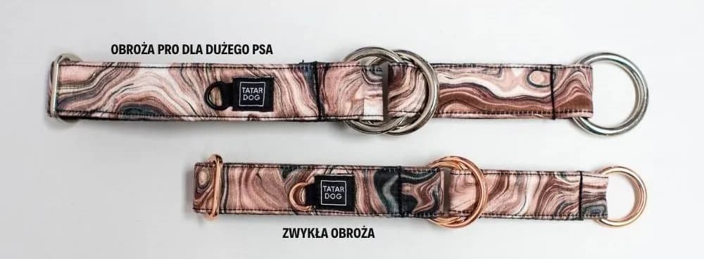 Jaką obrożę dla cane corso wybrać, aby zapewnić mu komfort?