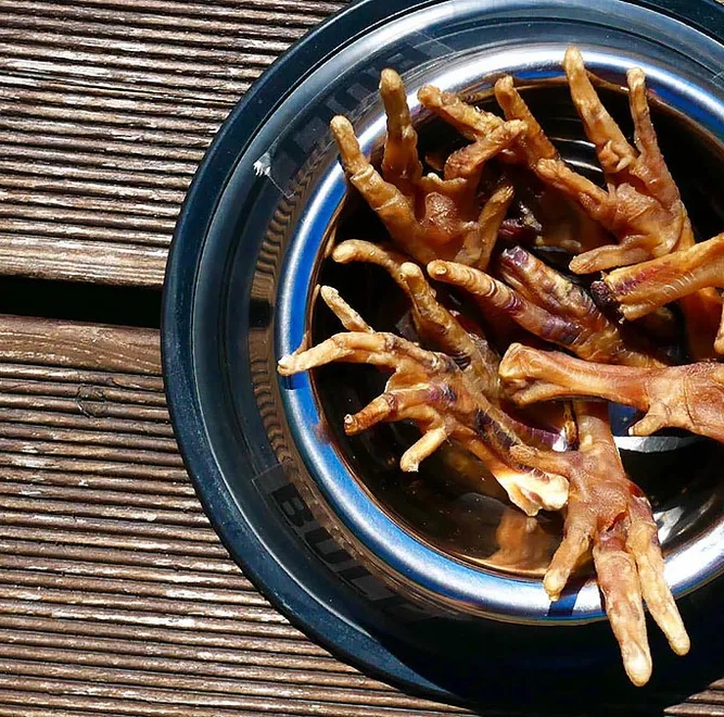 Jak przygotować kurze łapki dla psa – zdrowy przysmak, który pokochasz