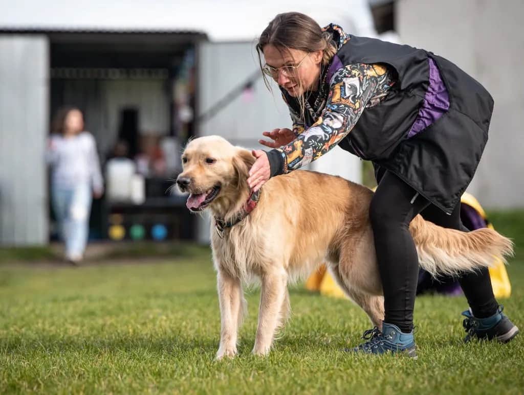 Jak skutecznie szkolić golden retrievera i unikać problemów z posłuszeństwem