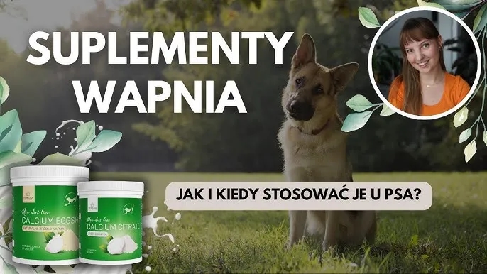 Jakie wapno dla psa wybrać, aby uniknąć zdrowotnych problemów?
