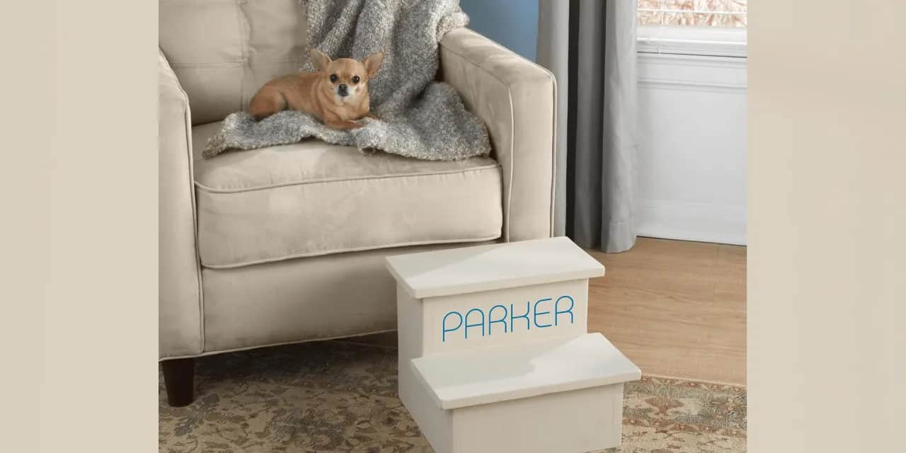 Jak zrobić schody dla psa - proste kroki, które ułatwią życie twojemu pupilowi