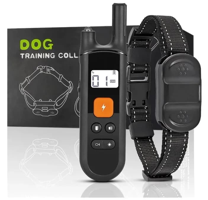 Jaka obroża elektryczna dla owczarka niemieckiego zapewni skuteczny trening?