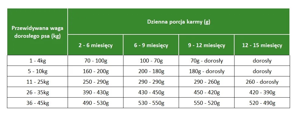 Od kiedy szczeniaki mogą jeść karmę? Kluczowe informacje i porady