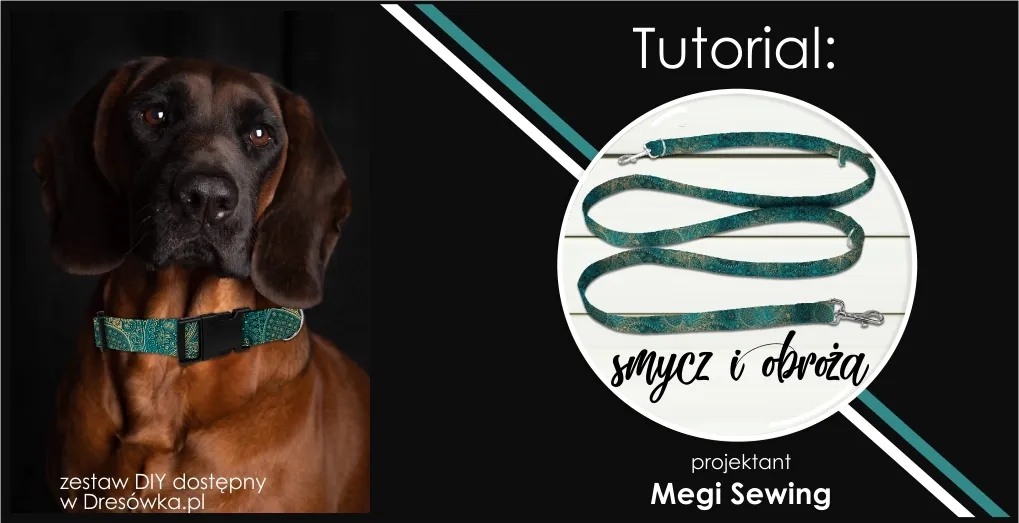 Jak zrobić obrożę dla psa - proste kroki do własnej obroży