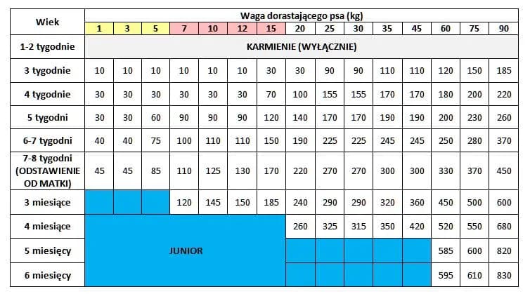 Ile powinien jeść szczeniak tabela – uniknij błędów w karmieniu