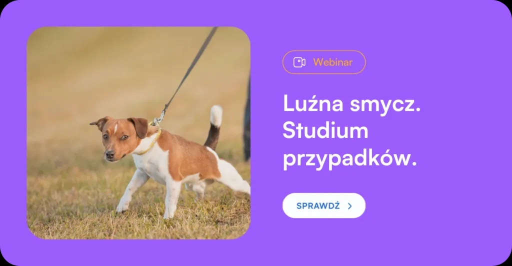 Jak wytresować psa żeby się słuchał – sprawdzone metody i porady