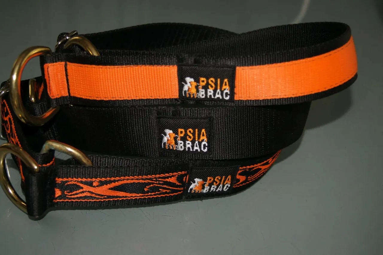 Obroża półzaciskowa jak działa i dlaczego jest bezpieczna dla psa