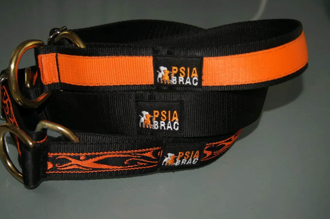 Obroża półzaciskowa jak działa i dlaczego jest bezpieczna dla psa