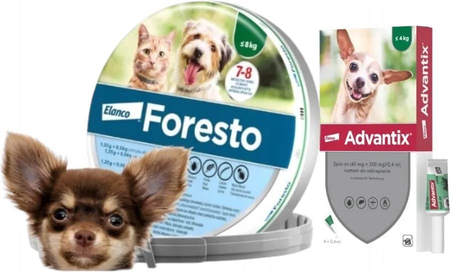 Ile kosztuje obroża dla psa Foresto? Ceny i porównania w sklepach